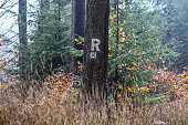 rennsteig.jpg?b=1&s=170x170&k=20&c=BeEma