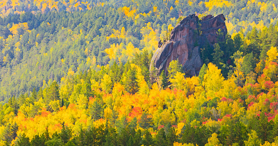 The top of the Malyy Berkut rock pillar rises above the golden forest. Landscape with mountain among colorful autumn trees