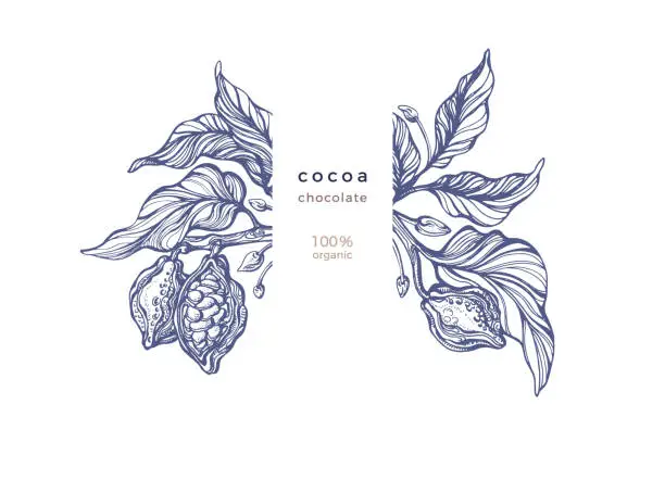 Vector illustration of Cocoa texture hand drawn print. Organic chocolate