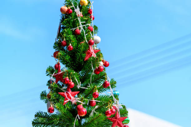 istock Christmas tree background and Decorated Christmas tree on blurred background. 1436131769