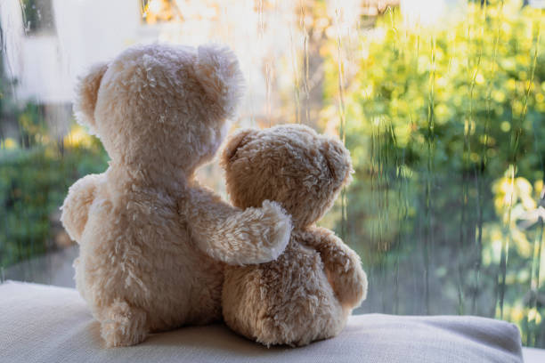 Two small teddy bears sitting in front of wet window and looking at autumn rain outside