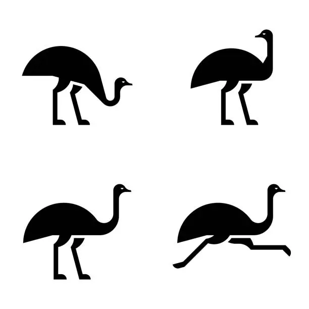 Vector illustration of Set of Ostrich, Ostrich