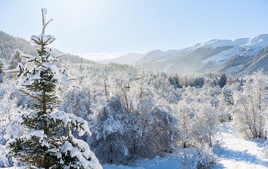 A view over mountains in the Trossachs, Scotland, following a night of heavy snowfall in January.