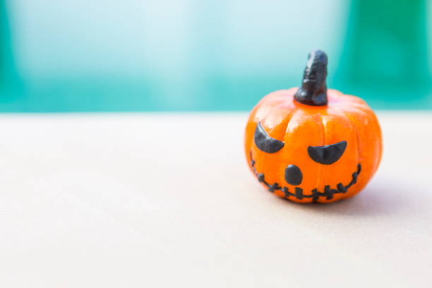 Cute halloween pumpkin with space on blurred background, halloween concept background, outdoor day light