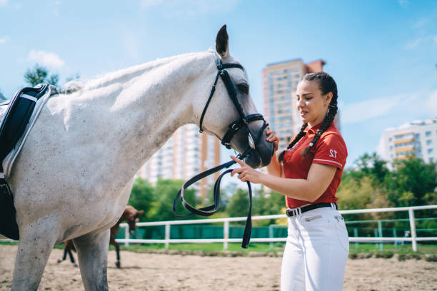 istock Horsewoman stroking grey stallion during walk 1436135715
