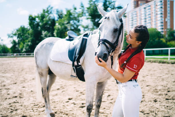 istock Young horsewoman caressing grey stallion 1436135728