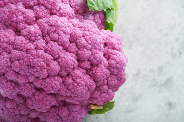 istock Purple cauliflower on gray concrete background. Broccoli and Romanesco. 1436137532