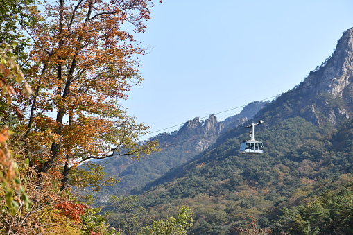 Cable Sky Mountain Lift Travel Cable Car Nature Landscape Tourism