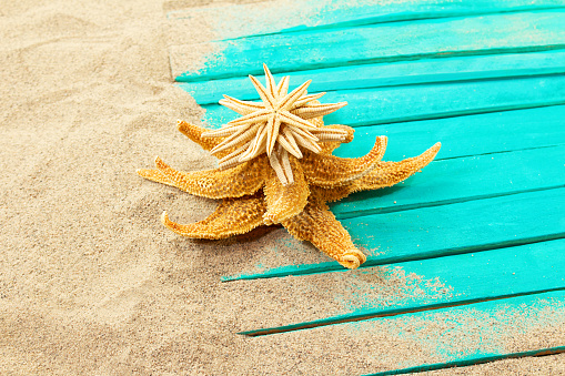 Starfish on the summer beach in sea water. Summer background. Summer time.