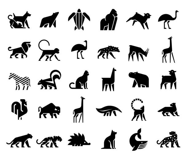 kolekcja logo animals - zebra animal isolated young animal stock illustrations