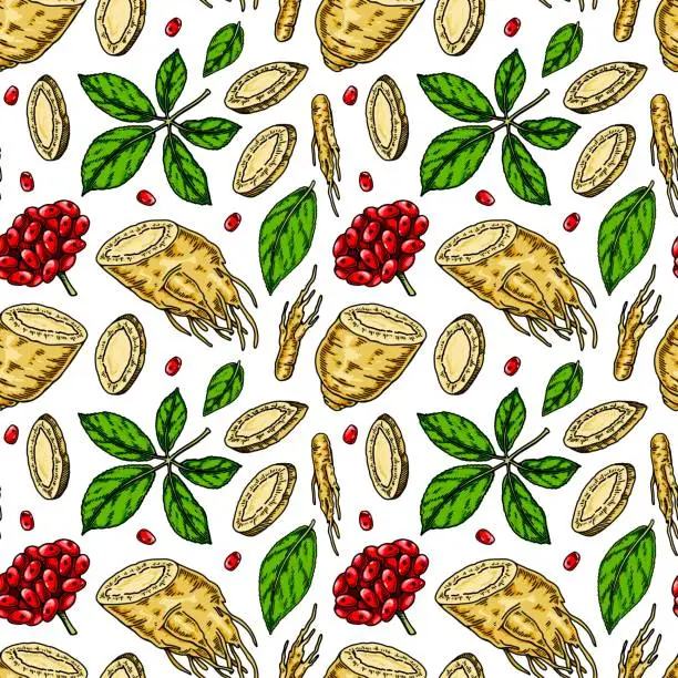 Vector illustration of Colorful Hand drawn ginseng seamless pattern. Vector illustration in sketch style. Medicinal plant background. Botany design