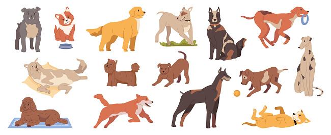 Puppies And Grown Dogs Life Isolated Canine Animals With Smooth Fur Playing  And Being Active Lifestyle Of Domestic Pets At Home Vector In Flat Style  Stock Illustration - Download Image Now - iStock