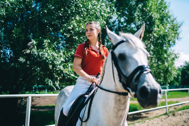 istock Female equestrian on back of white horse 1436145536