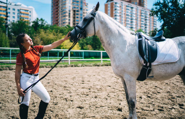 istock Female jockey training gray horse 1436145555