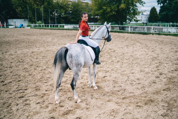 istock Young lady riding horse in field and looking at camera 1436145612