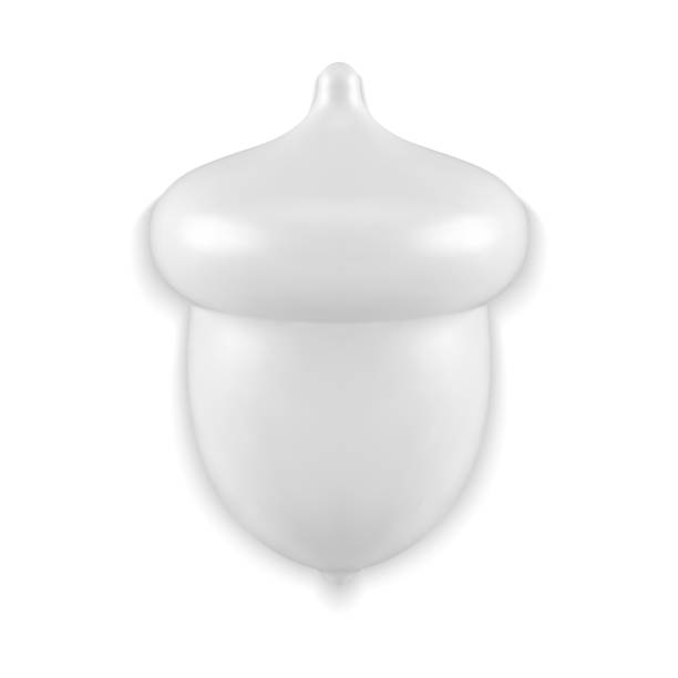 istock Elegant white glossy acorn decorative bauble premium quality 3d template vector illustration 1436145875