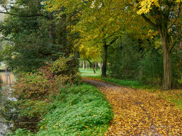 istock Autumn time at a river in the german muensterland 1436146700