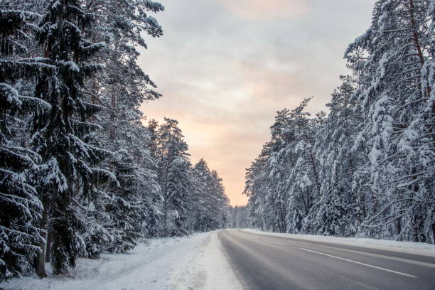 istock Beautiful snowy winter landscape panorama with sun. 1436151116
