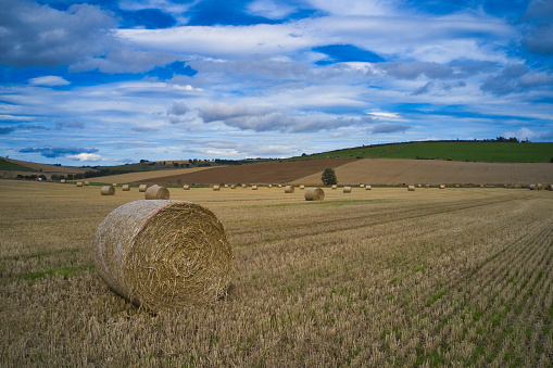 Close-up of a perfectly formed hay ball lying in stubble field in front of a fresh green grown field with hills in the background and distance fog,horizontal
