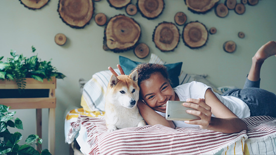 Happy African American girl proud dog owner is taking selfie with cute pet lying on bed in modern apartment using smartphone. Technology, animals and social media concept.