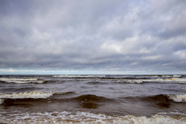 istock Grass sand dune beach sea view, Baltic Sea 1436154385