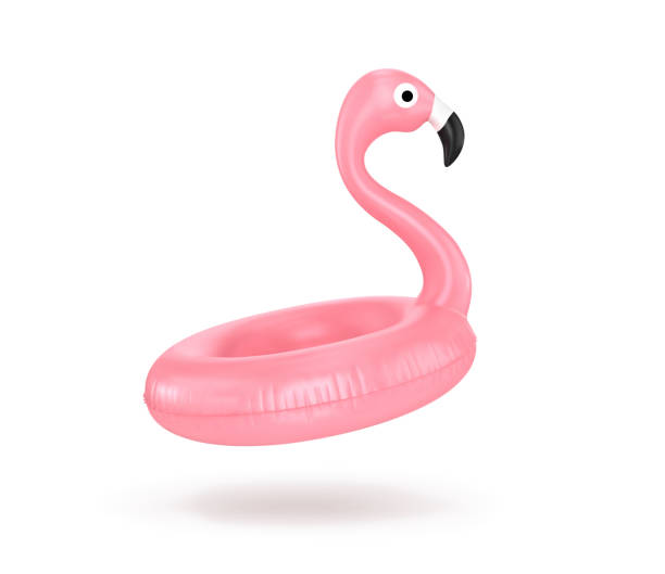 illustrazioni stock, clip art, cartoni animati e icone di tendenza di fenicottero gonfiabile rosa su sfondo bianco. illustrazione vettoriale - white pink flamingo blue