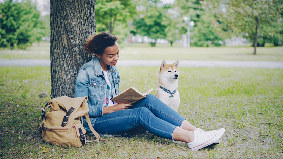 Young African American lady is reading book sitting on lawn in summer park and stroking her purebred pet dog with love and tenderness. Enjoying weekend with animals concept.