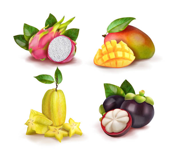 RGB Set exotic fruits pitahaya, carambola, mangosteen, mango. Vector illustration. starfruit stock illustrations