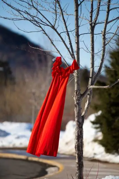 Photo of Red dress hanging from a leafless tree and swaying from the wind