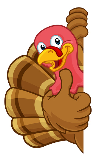 Turkey Thanksgiving or Christmas bird animal cartoon character peeking around a background sign giving a thumbs up