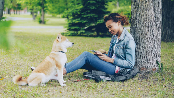istock Side view of pretty African American girl using smartphone relaxing in park under tree while her cute shiba inu dog is sitting near her owner and enjoying nature. 1436155569