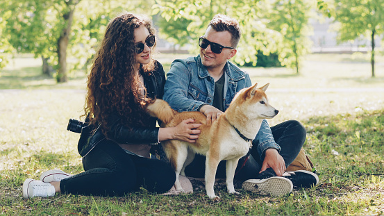 Husband and wife happy couple are fussing their pet shiba inu puppy sitting on grass in park and talking. Conversation, domestic animals and modern lifestyle concept.