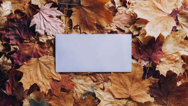 istock autumn leaves background 1436159994
