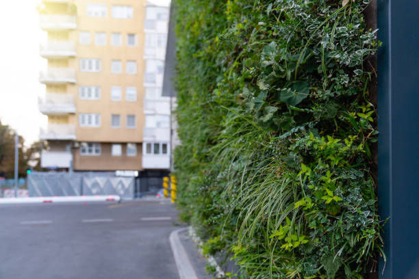 istock Vertical garden on a green wall. 1436166900