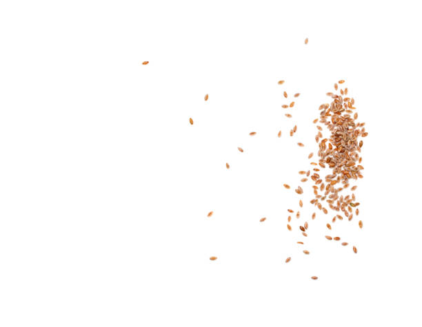 istock Plantago Ovata Seeds Isolated, Psyllium Husk, Isabgol Ispaghula 1436170840