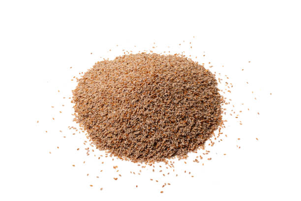 istock Plantago Ovata Seeds Isolated, Psyllium Husk, Isabgol Ispaghula 1436170868