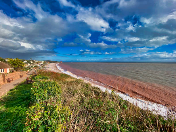 пляж бадли солтертон в девоне - budleigh стоковые фото и изображения