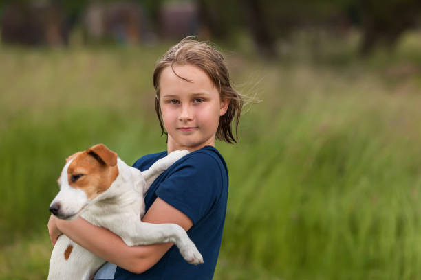 istock Cute girl holding a jack russell terrier dog 1436176089