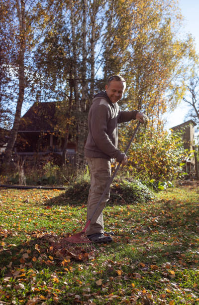 istock Adult man raking leaves 1436176333