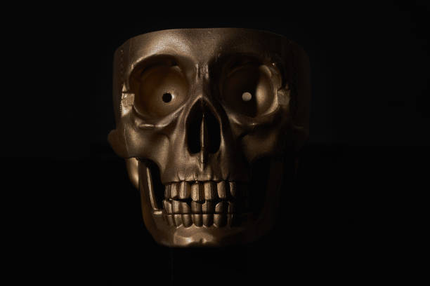 istock Gold human Skull Isolated on black background 1436179523