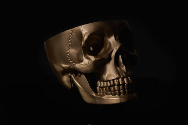 istock Gold human Skull Isolated on black background 1436180512