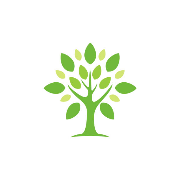 illustrazioni stock, clip art, cartoni animati e icone di tendenza di albero moderno semplice con il design del logo delle foglie verdi - tree