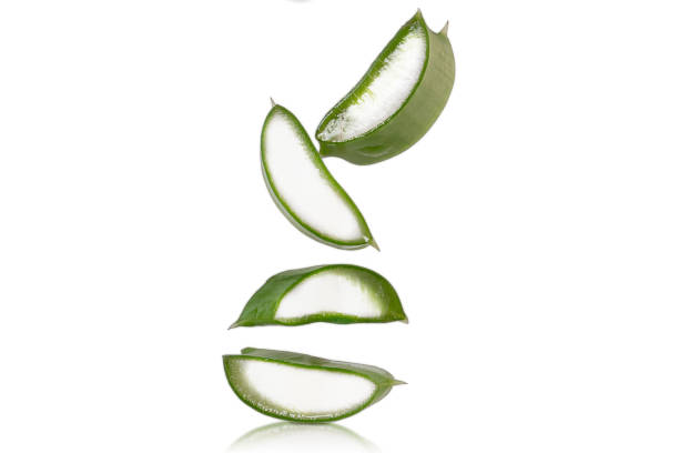 istock aloe vera fresh slices and leaves isolated on white background 1436188099