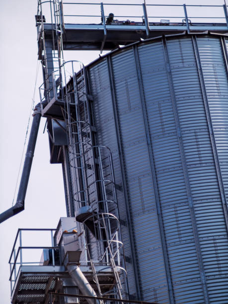 istock Modern elevator for grain storage. A large plant for the storage and processing of grain crops, view of the granary on a cloudy day. Agro manufacturing plant for processing and drying 1436189750