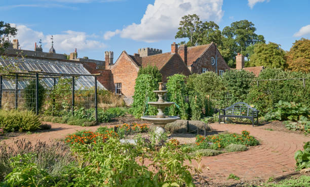 istock An English vegetable garden on a sunny day 1436190761