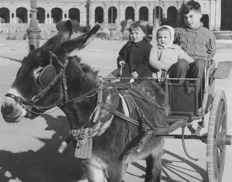Black and White image taken in 1960, Three children posing in a cart pulled by a donkey in Seville, Spain