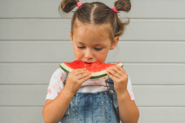 skoncentrowana mała dziewczynka w wieku 3-4 lat z dwoma kucykami zjada arbuza. lato, zbiory, witamina, słodkie zdrowe owoce - child caucasian little girls 3 4 years zdjęcia i obrazy z banku zdjęć