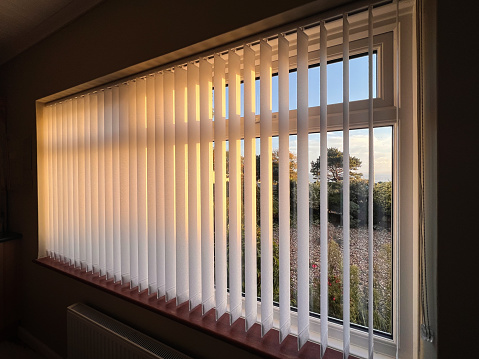 Vertical blinds with a golden glow as the sun sets. There is a tree and a view of the sea through the window.