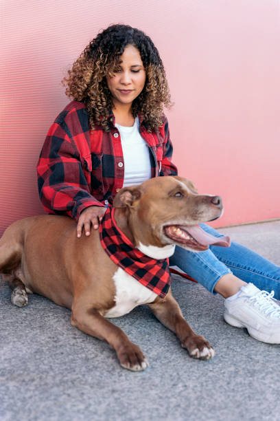 istock Beautiful Dog with his Owner 1436198133