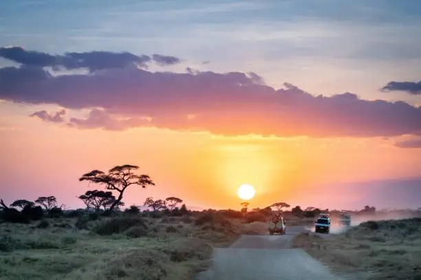 The African sunset over safari vehicles in the Masai Mara, Nairobi